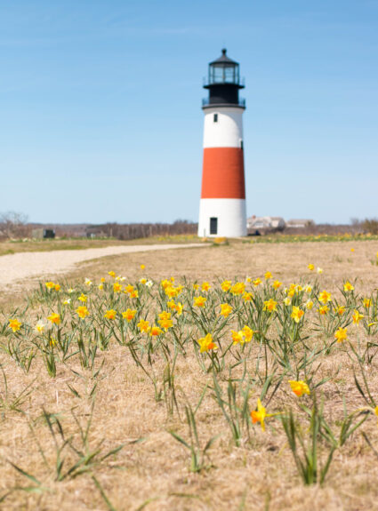 The Perfect Nantucket Daffodil Festival Weekend